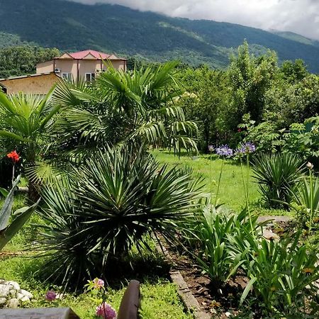 Tikhaya Gavan Guest House Γκάγκρα Εξωτερικό φωτογραφία